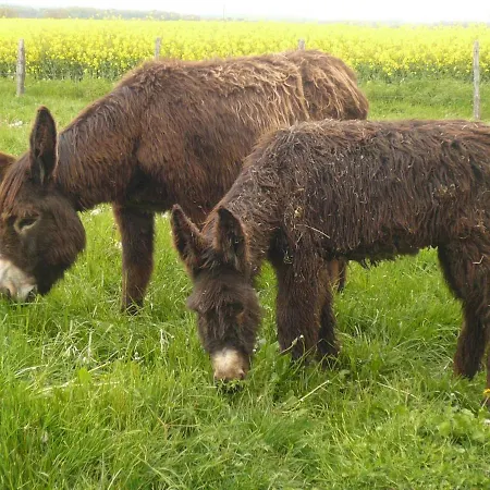 La Maison 度假居 Mirebeau