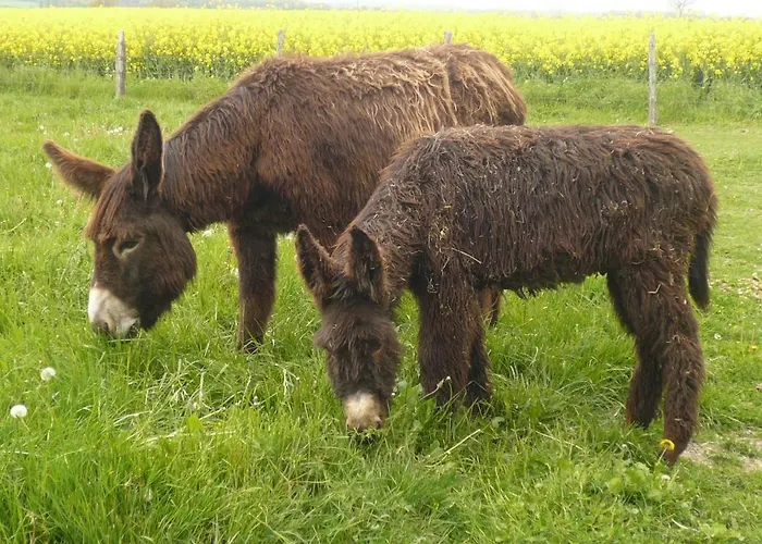 La Maison Hébergement de vacances Mirebeau